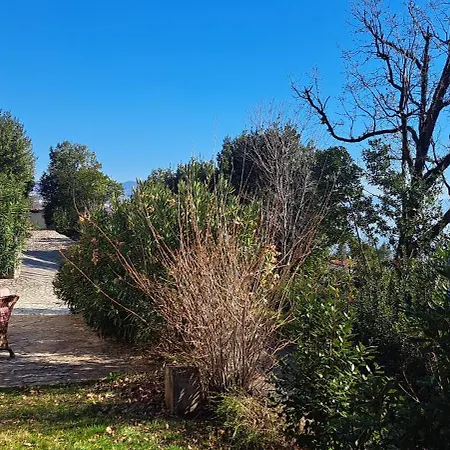 C.s. With The Pool * オパティヤ