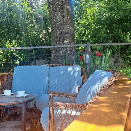 C.s. With The Pool アパート